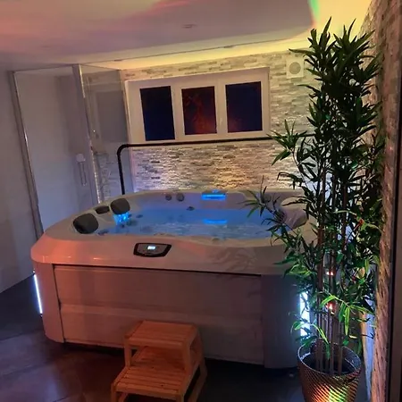 *romance Jacuzzi* Pour Les Amoureux Ou Les Solos Apartment Deuil-la-Barre